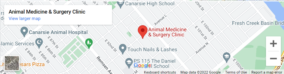Animal Medicine Surgery Clinic PC